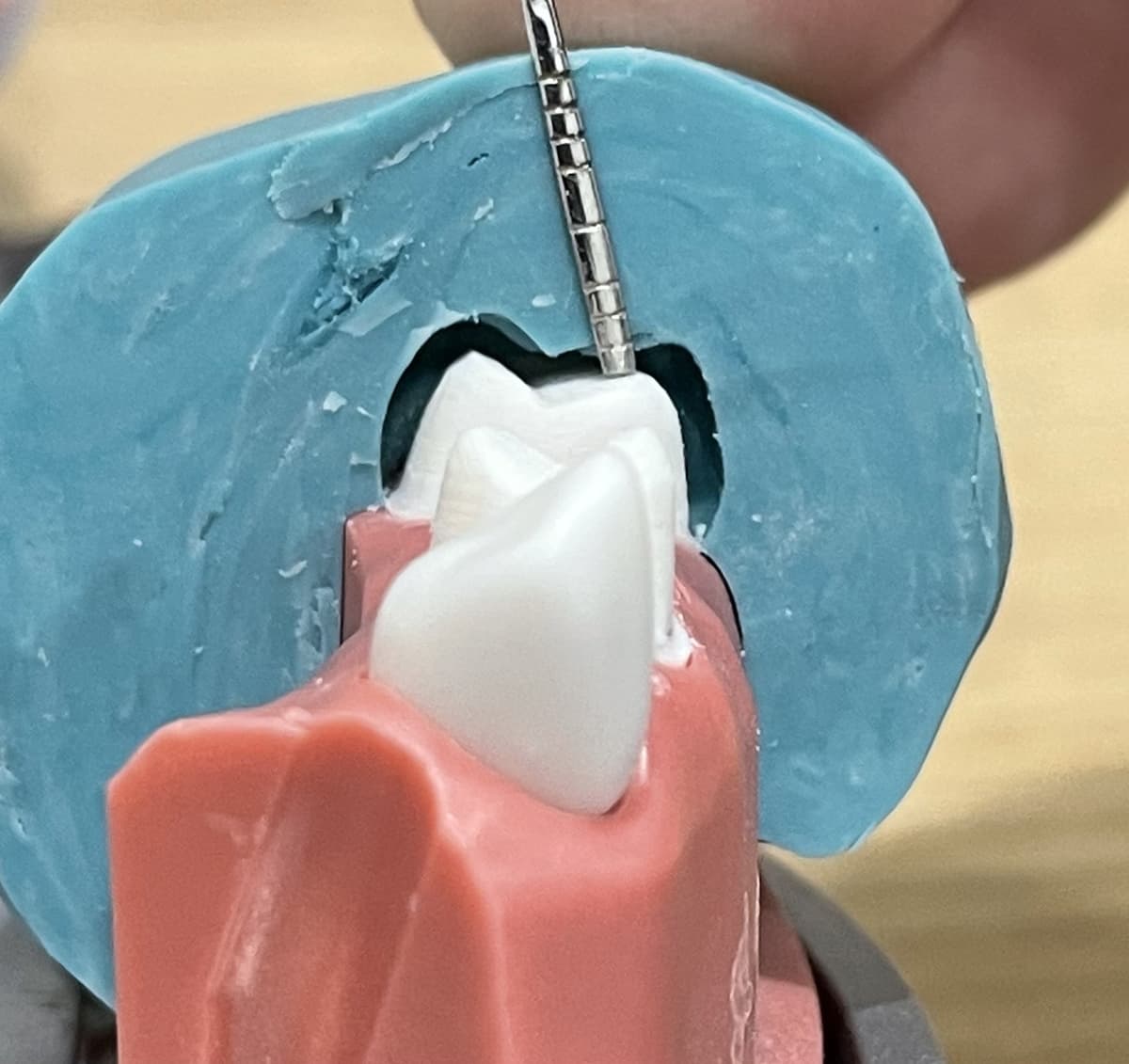 Dental Simulation Training