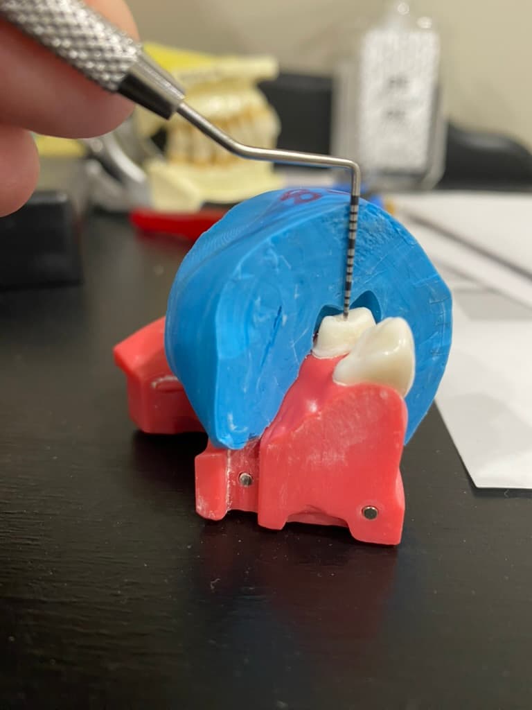 Hands-on Learning Experience