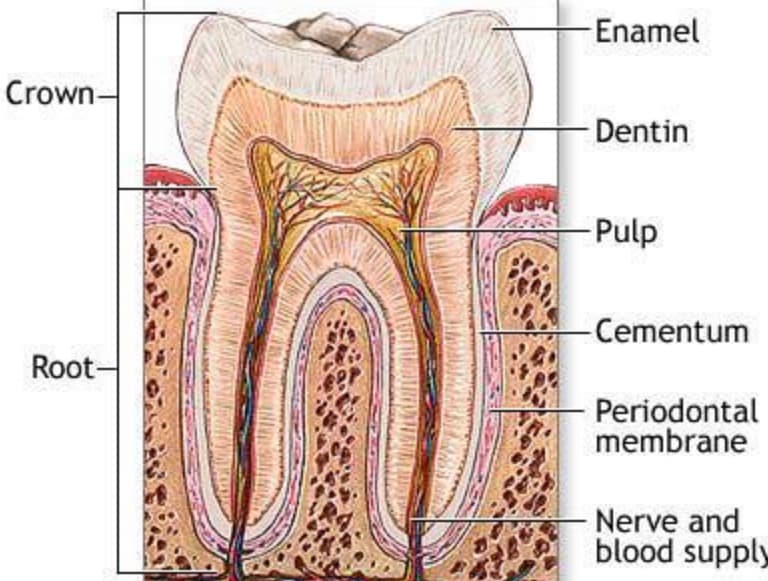 Student Success Stories