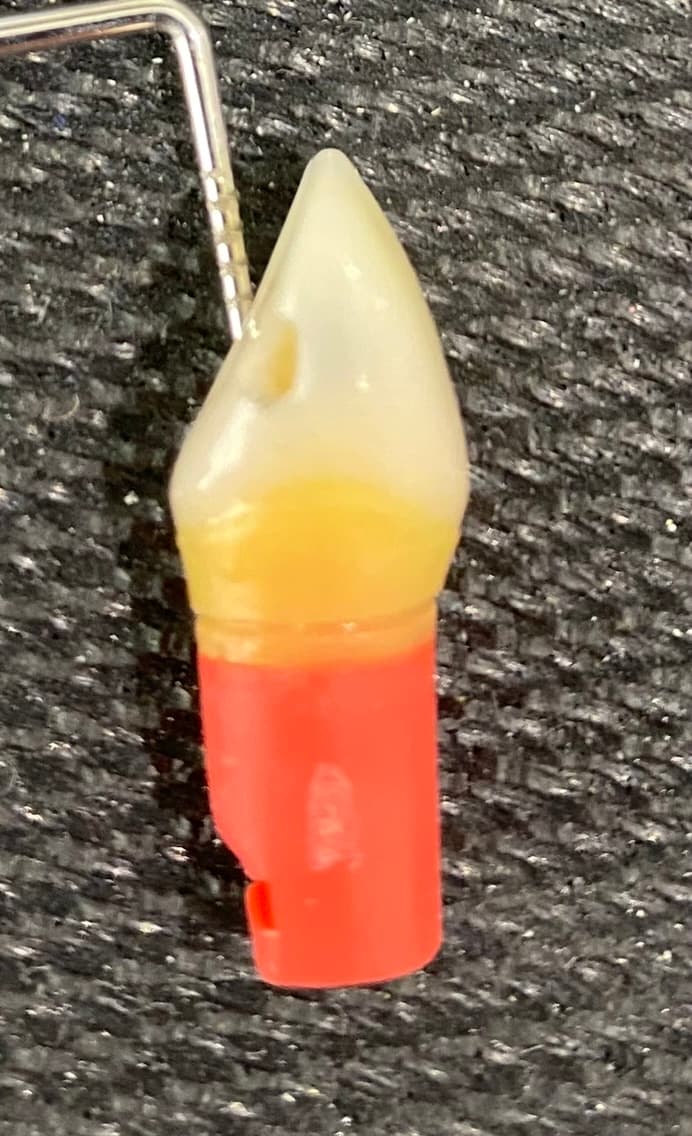 Innovation in Education