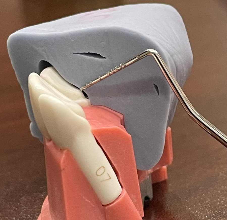 Future of Dental Education